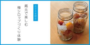 
							【夏休みお子さま向け】蔵元で楽しむ梅シロップづくり体験