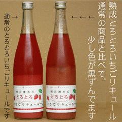 jukusei-torotoro_04.jpg